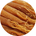 Panax Ginseng
